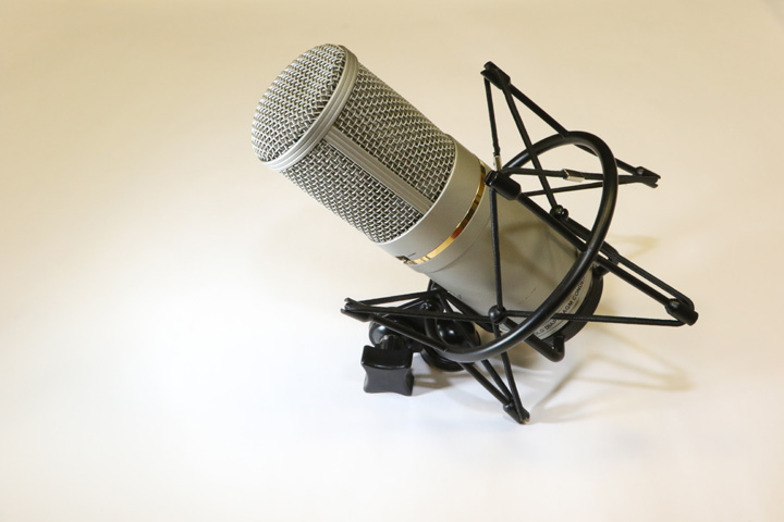 Datei:Fame-Mikro web.jpg